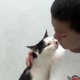 Image for article titled Your Afternoon Cry: Best 10-Year-Old Boy Ever Rescues Cat From Bullies